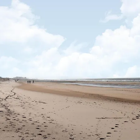 Flat In Near Belgian Coast, Cleaning Included Apartamento Ostende
