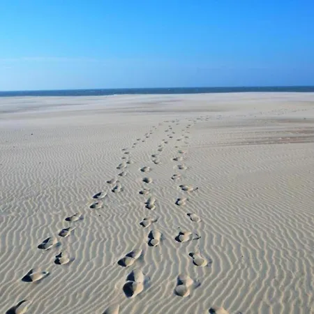 Flat In Near Belgian Coast, Cleaning Included Ostende