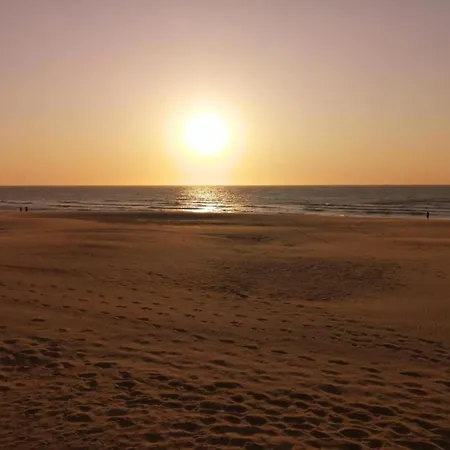 Ground-Floor Flat Near The Sea, Cleaning Included Ostend